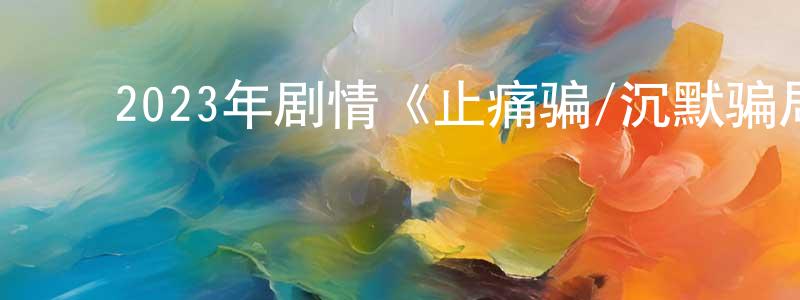 陈西锋的动漫综艺大全,2023年剧情《止痛骗/沉默骗局》BD中英双字迅雷下载_电影天堂